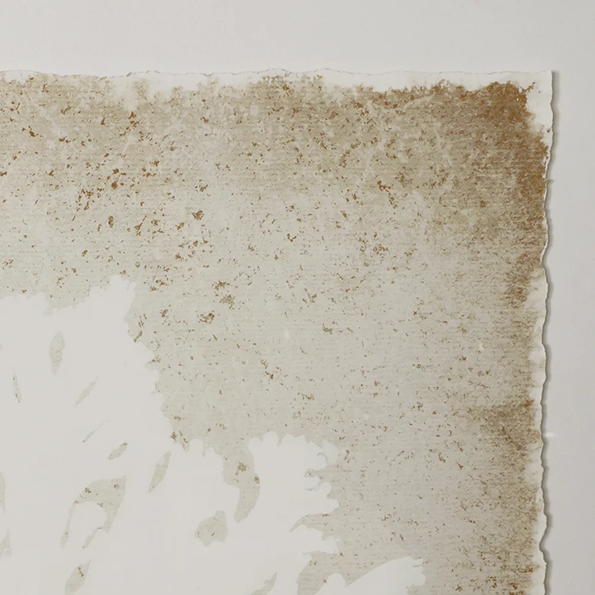 Aquatic Flora Wall Art - Image 4