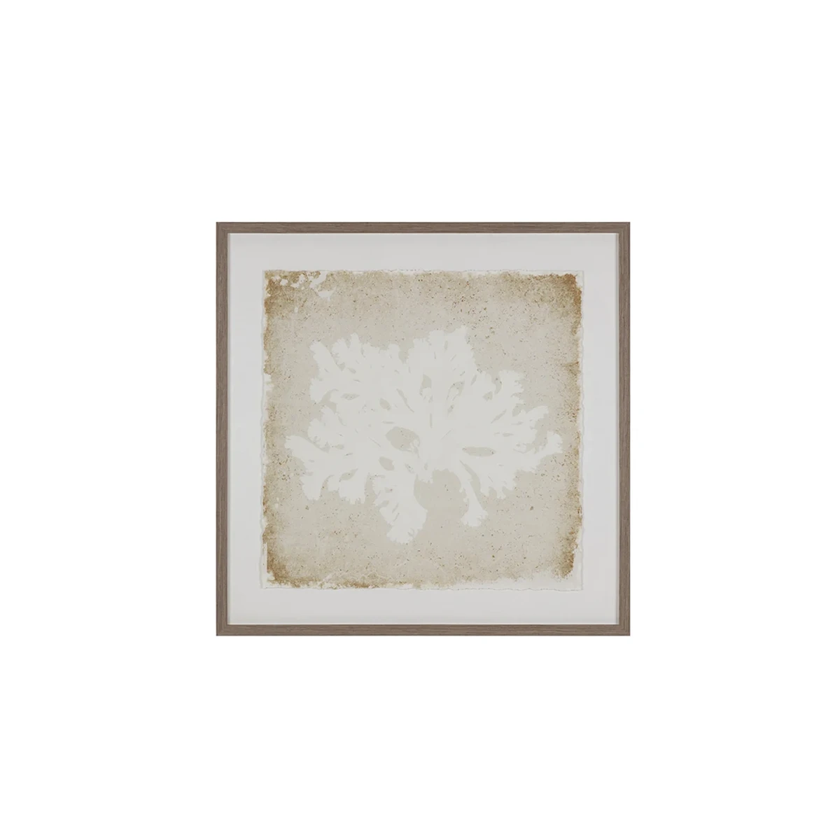Aquatic Flora Wall Art - Image 5