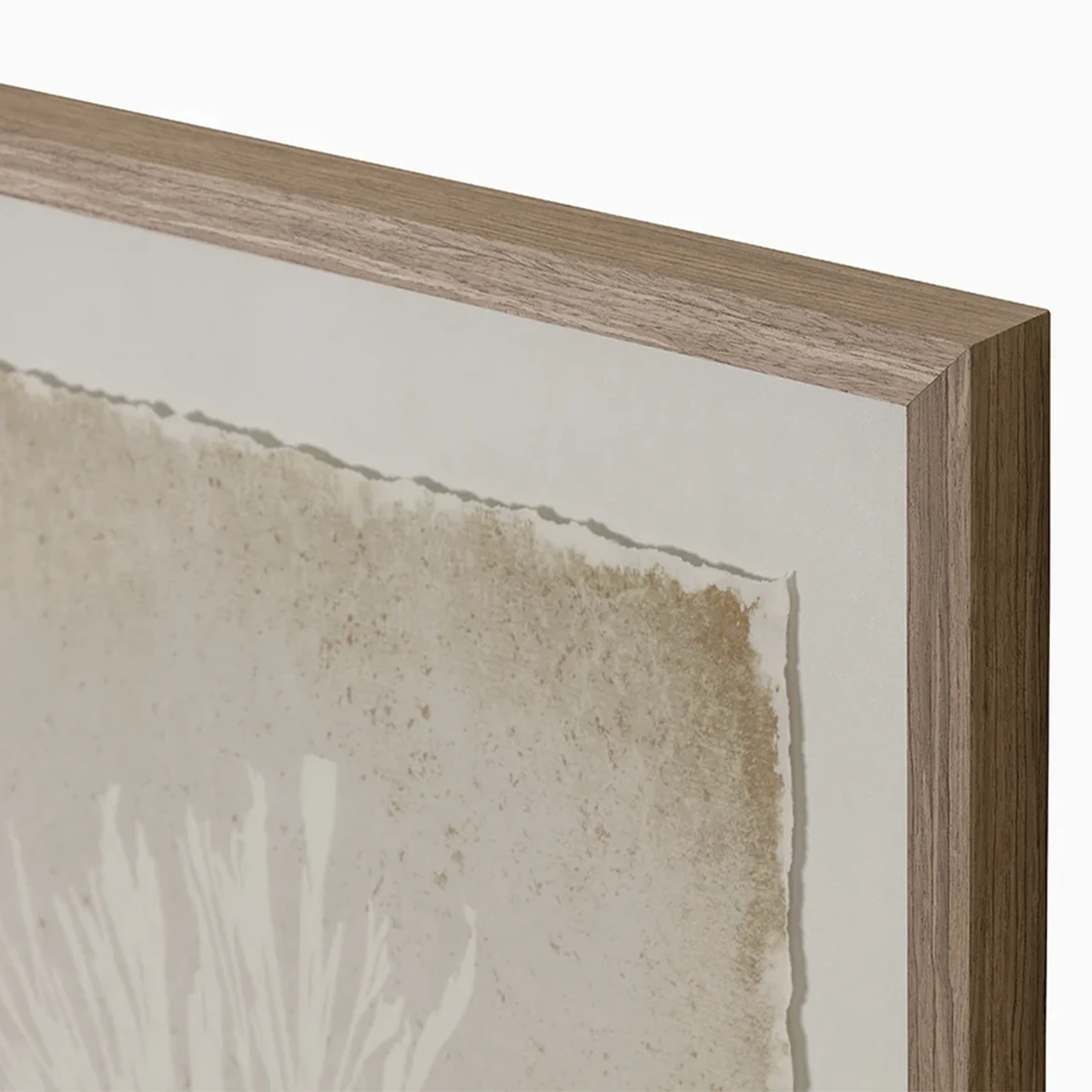 Aquatic Flora Wall Art - Image 7