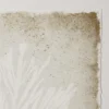 Aquatic Flora Wall Art - Image 8