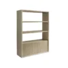 Asana Etagere