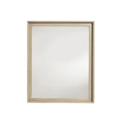 Asana Mirror