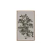 Botanical Study Wall Art