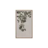 Botanical Study Wall Art - Image 4