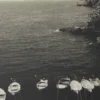 Coastal Vibes Il Wall Art - Image 4