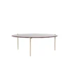 Demli Coffee Table