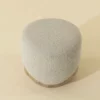 Mithuna Ottoman - Image 7