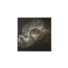 Moonflower Wall Art