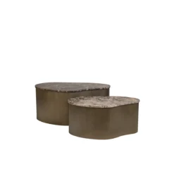 Aravalli Nesting Coffee Tables (Set Of 2)