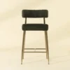 Ashwin Counter Stool - Image 2