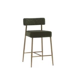 Ashwin Counter Stool