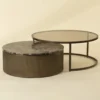 Chandra Nesting Coffee Tables (Set Of 2) - Image 4