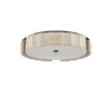 Roslington Flush Mount - Image 5