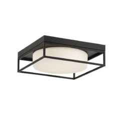 Rover Flush Mount