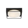 Rover Flush Mount - Image 4
