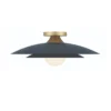 Welsh Flush Mount - Image 5